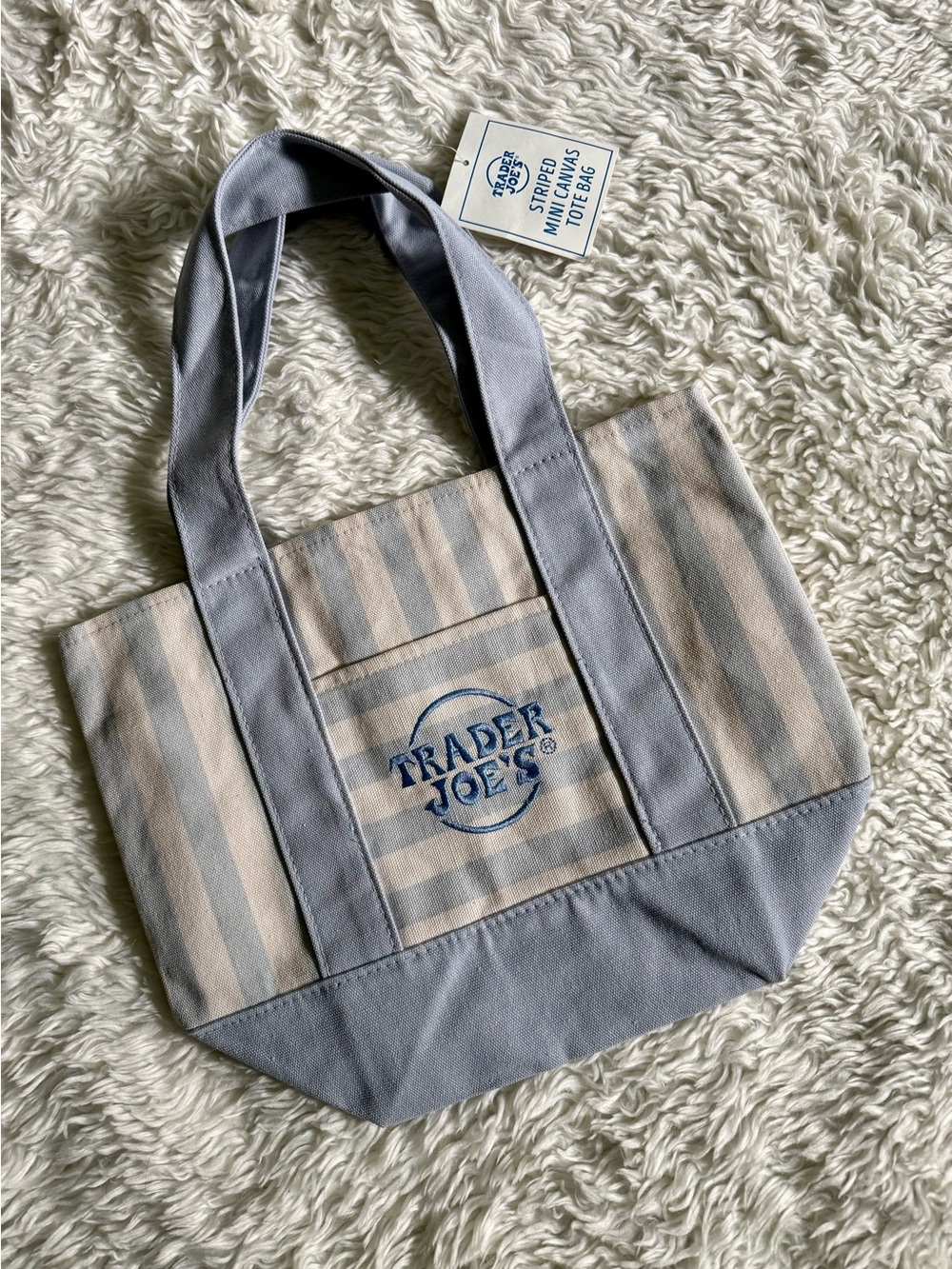 Trader Joe's Striped Mini Canvas Tote in Light Blue and Cream